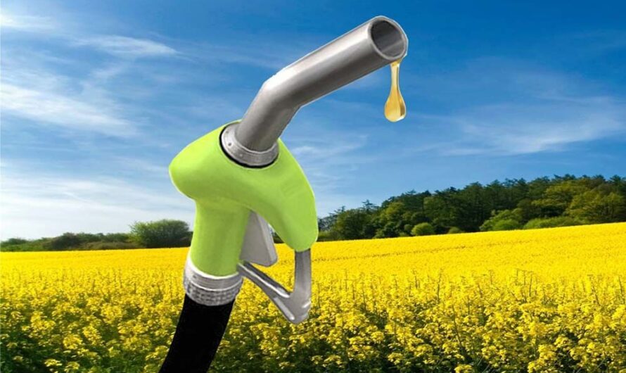 Growing Demand and Technological Advancements to Drive the Future of the Biofuels Market