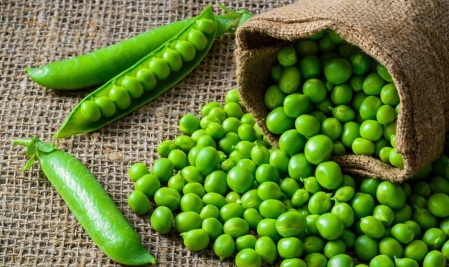 Pea Starch Market Is Estimated To Witness High Growth Owing To Increasing Demand For Gluten-Free Products And Growing Application In Food And Beverage Industry