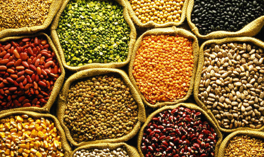 Global Vegetable Seed Market Is Estimated To Witness High Growth Owing To Increasing Demand for Organic Food and Growing Adoption of Genetically Modified Seeds