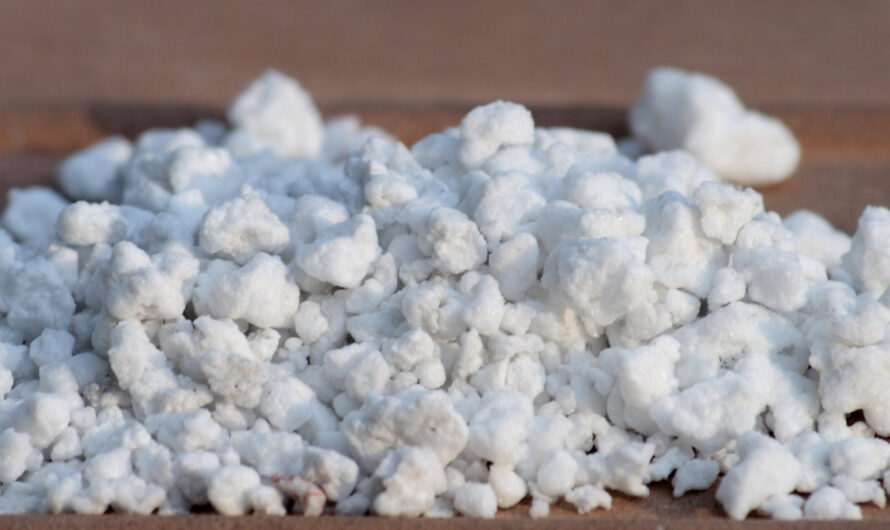 Expanding Market Opportunities in Insulation Applications is Anticipated to Open Up New Avenues for the Expanded Perlite Market