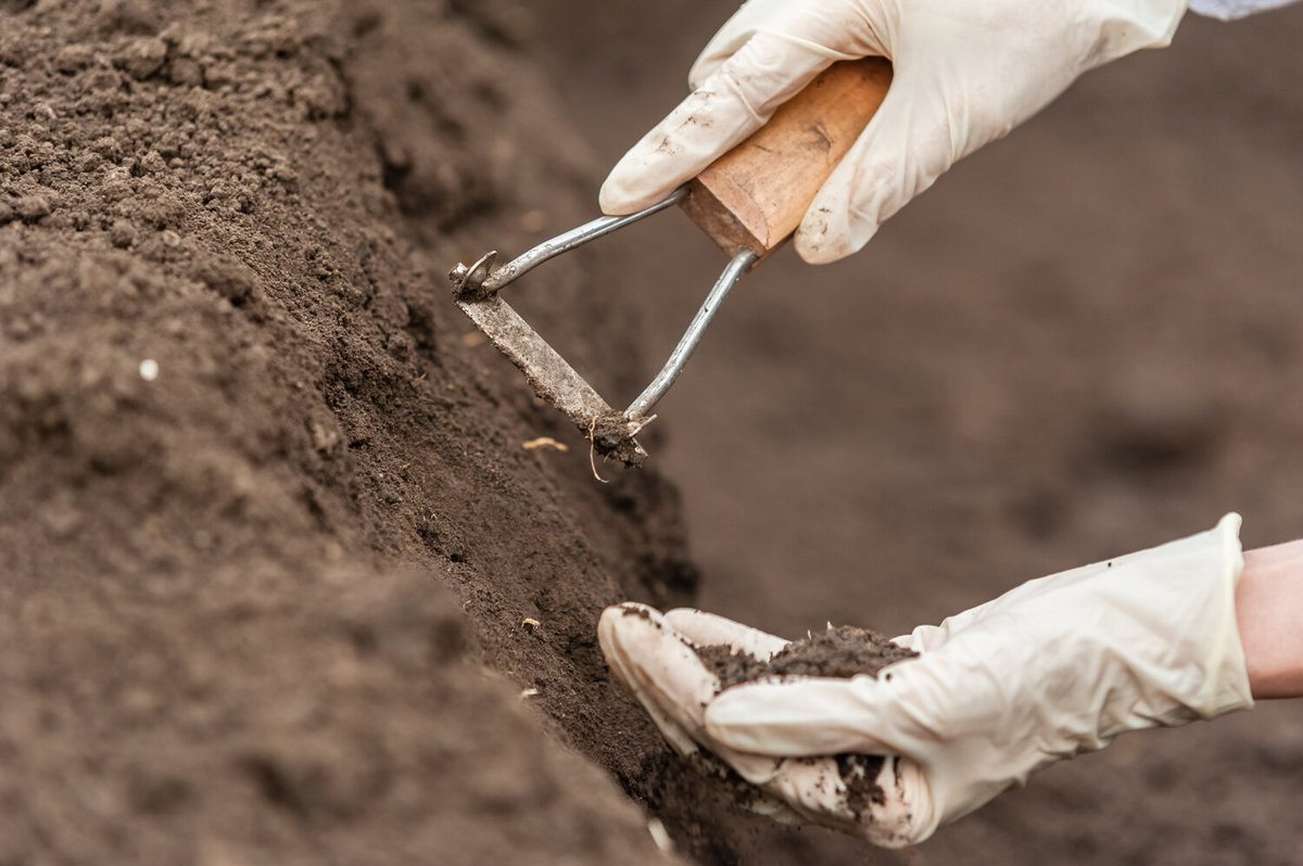 Groundbreaking HET Tech Revolutionizes Soil Remediation