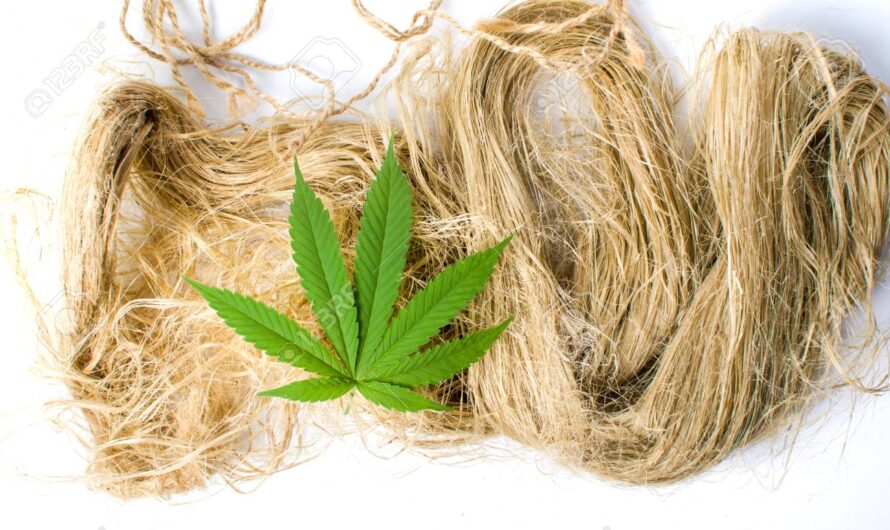 The Growing Application Of Hemp Fiber In Construction And Automotive Sectors Is Anticipated To Open Up New Avenues For The Hemp Fiber Market