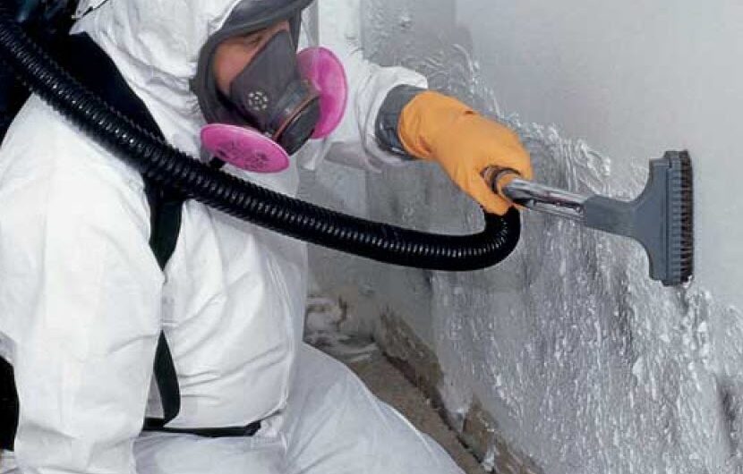 Mold Remediation Service Market Driven by Rising Concerns Regarding Indoor Air Quality Issues