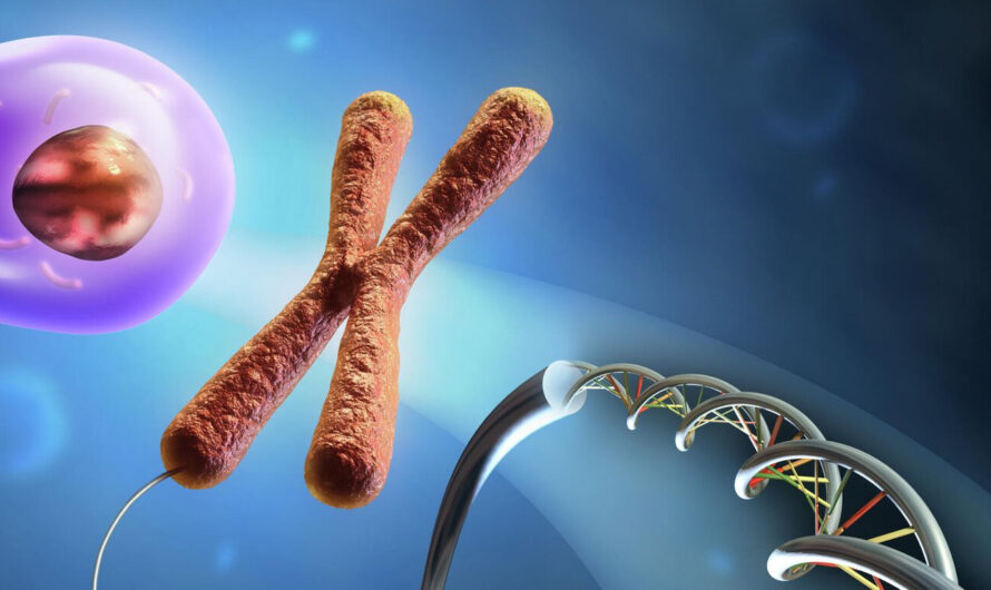 The rapid growth of personalized medicine is anticipated to open up the new avenue for the Recombinant DNA Technology Market