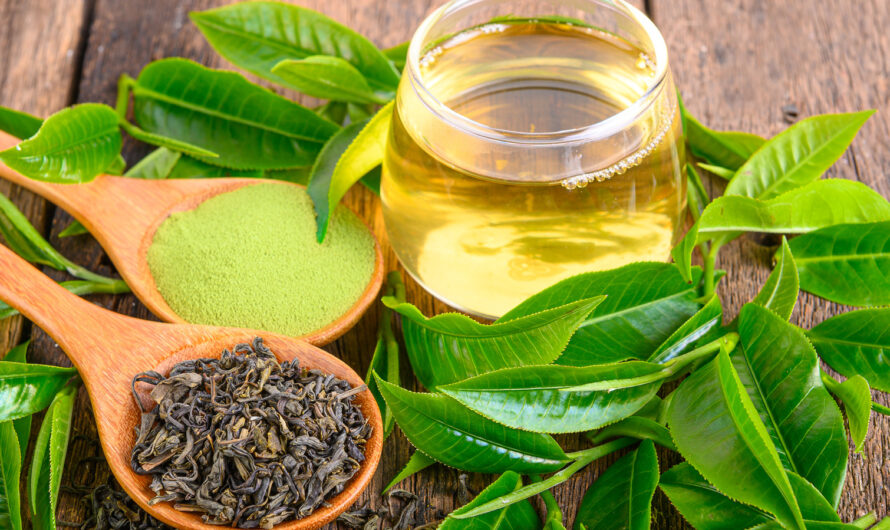 Tea Extracts Market is estimated to Witness High Growth Owing To Rising Health Consciousness
