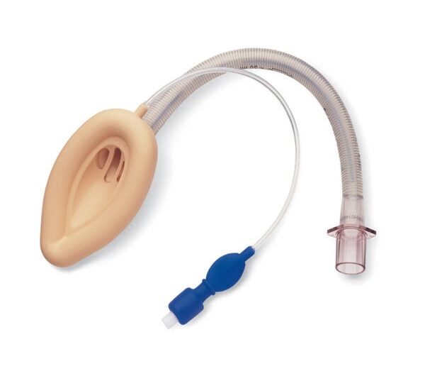 Rapid Growth in Anesthesia Procedures Across Healthcare Settings is Driving the Airway Management Devices Market