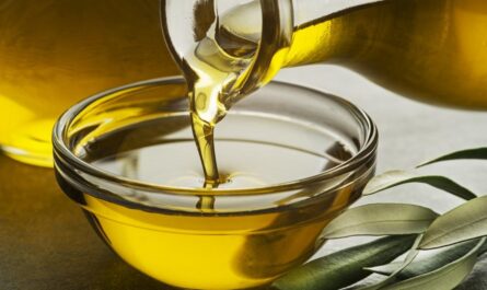 Animal Fats And Oils Market