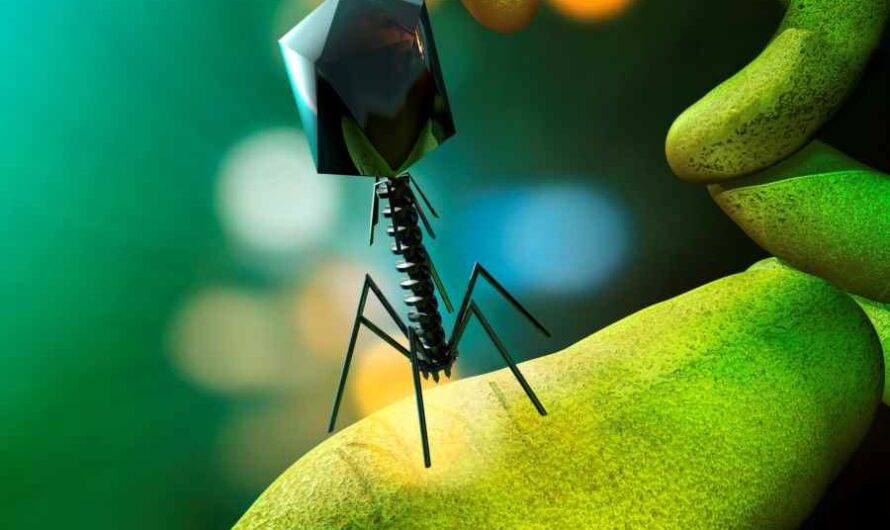 Bacteriophage Therapy Market Is Expected To Driven By Increasing Antimicrobial Resistance