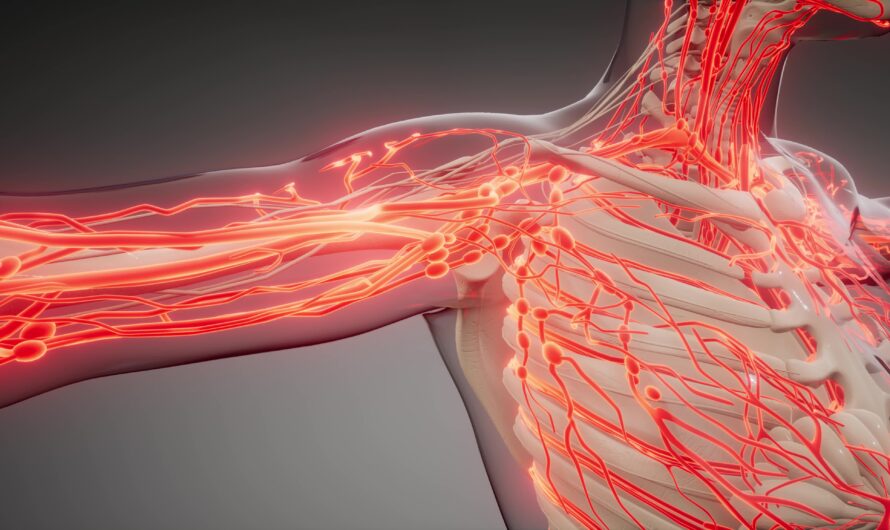 Promising Breakthrough in Blood Vessel Growth to Rescue Limbs at Risk