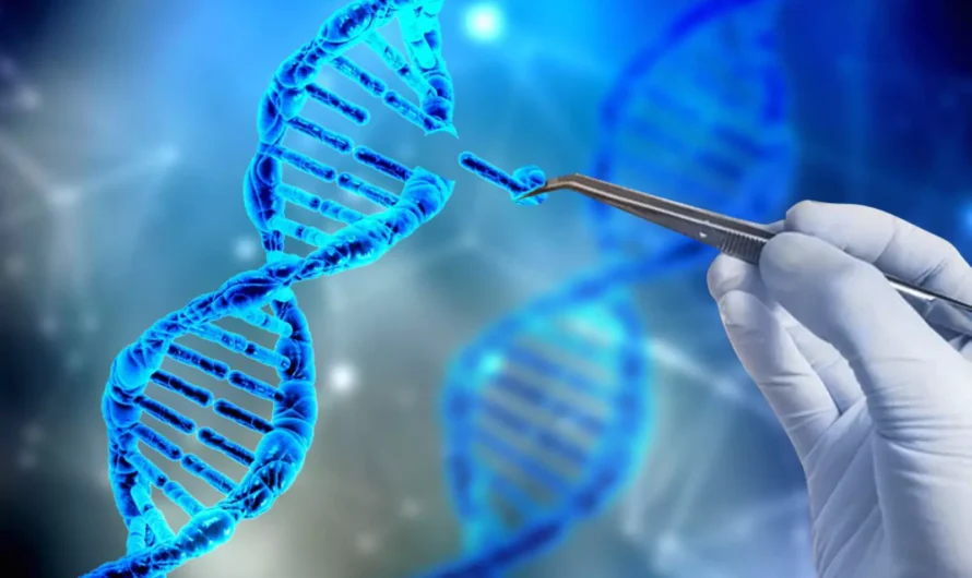 Rising Use Of Genomics To Diagnose Diseases To Propel Growth Of The Global Digital Genome Market