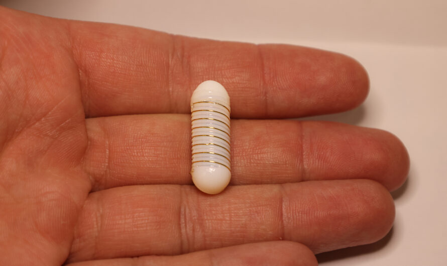 Engineers Develop Vibrating, Ingestible Capsule to Treat Obesity