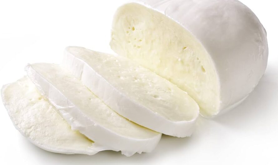 Expanding Applications In Multiple End-Use Industries Set To Boost The Growth Of Mozzarella Cheese Market