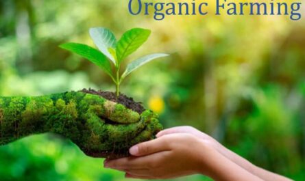 Organic Farming Market