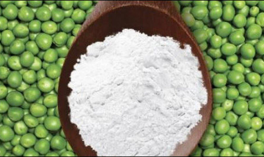 High Demand For Pea Protein To Propel Growth Of The Pea Starch Market