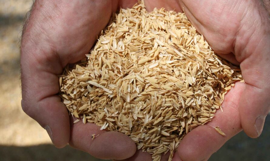 Rice Husk and Recycled Newspaper: The Future of Eco-Friendly Insulation Materials