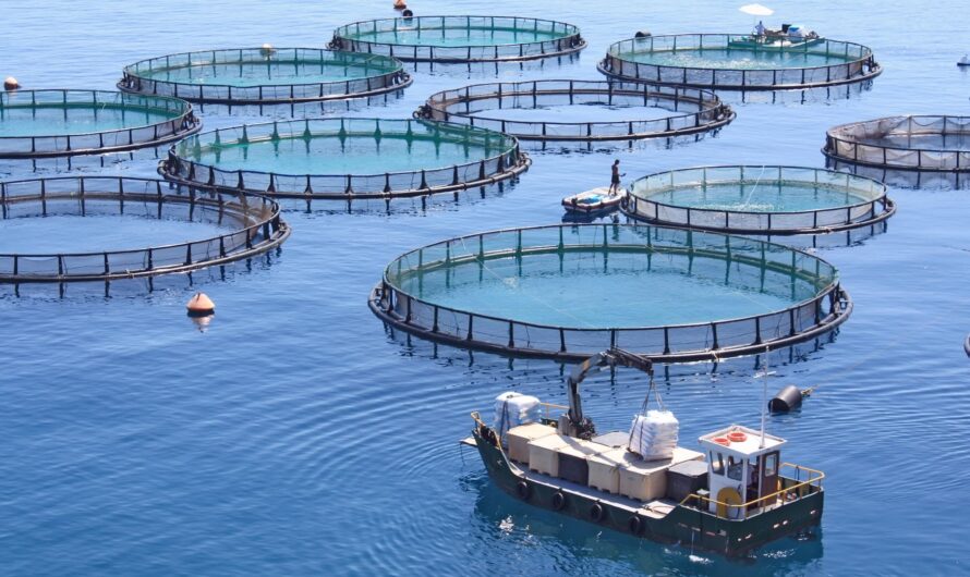 “The Aquaculture Water Treatment Systems Market is Expected to be Flourished by Rapidly Growing Recirculating Aquaculture Systems (RAS) Industry”