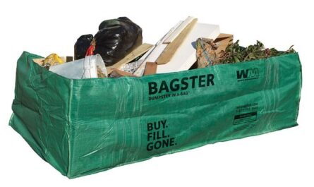 Bagster Bag Market