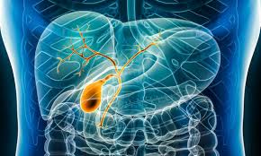 The Global Bile Duct Cancer Market Is Estimated To Propelled By Rising Prevalence Of Bile Duct Cancer