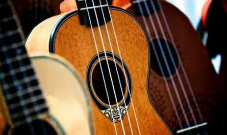 Electric and Acoustic Guitar Strings Market
