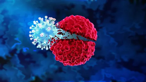 Propelled By Increasing Cases Of Cancer, Oncolytic Virus Therapy Market Experiences Steady Growth