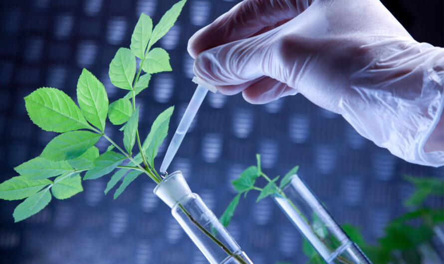 Agricultural Testing: Ensuring High Crop Yield and Food Quality