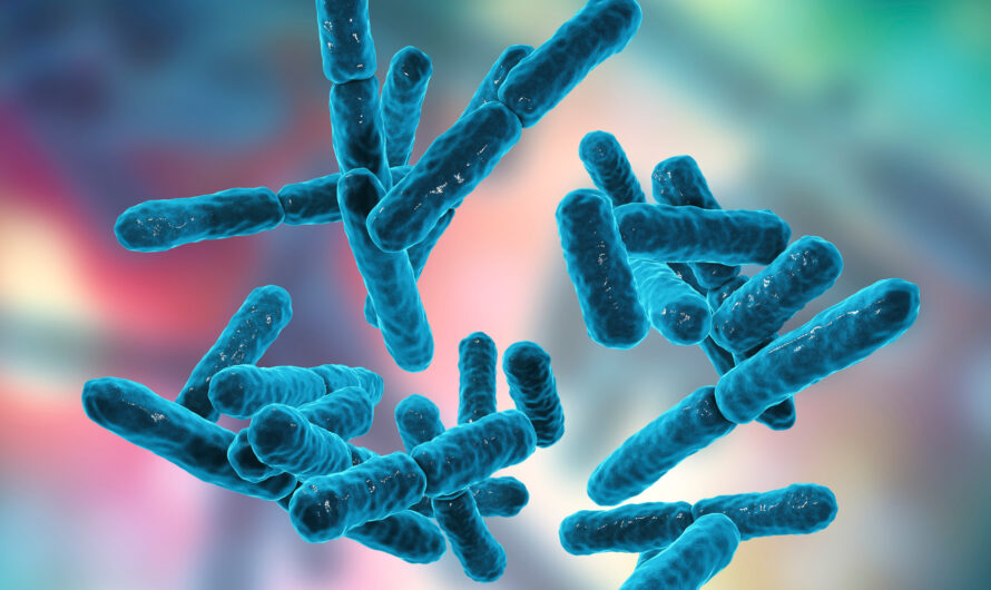 Bacillus Coagulans: A Probiotic Species With Promising Health Benefits