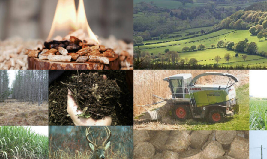 Biomass Solid Fuel Market to Witness Growth due to Increasing Demand for Clean and Sustainable Energy Alternatives