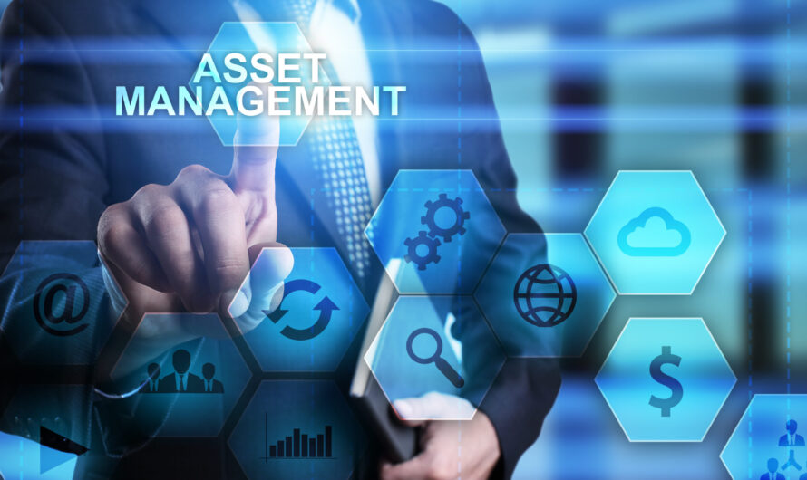 IT Asset Management Software Market Propelled by leveraging cloud-based technologies