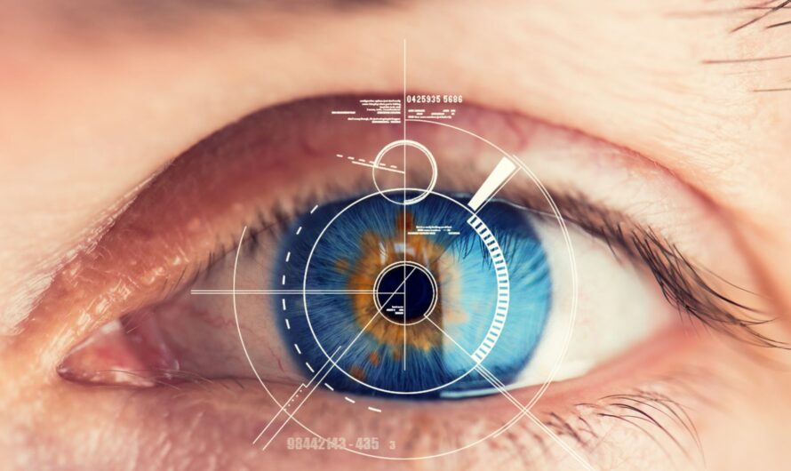 Iris Recognition: The Future of Biometric Authentication