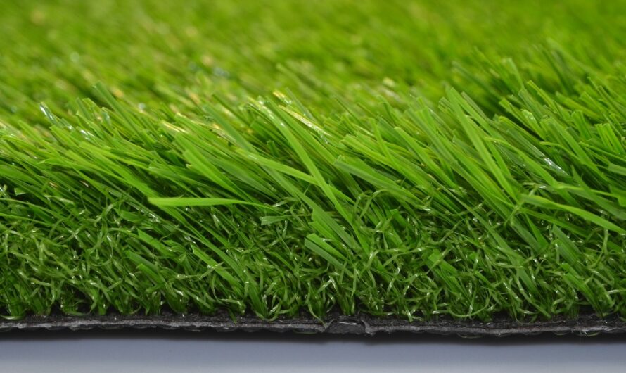 Playground Hybrid Turf Market Primed for Growth Due to Sustainability Benefits