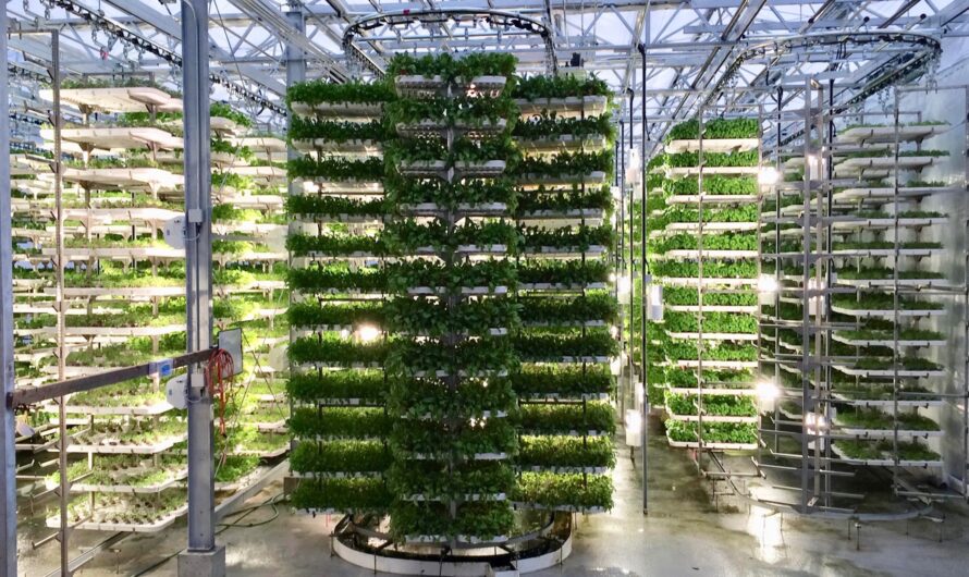 Vertical Farming Market is expected to be Flourished by increasing sustainable food production