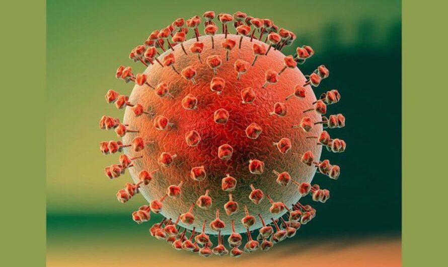 Herpes Simplex Virus Treatment Blood Tests Can Detect Antibodies Produced By The Immune System