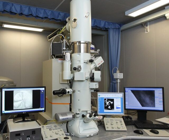 Electron Microscope Industry: The Advancement and Applications of Electron Microscopy