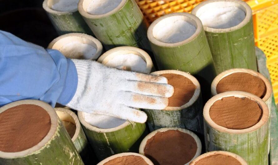 Bamboo Salt Market Set to Surge Due to Rising Demand for Eco-Friendly Products