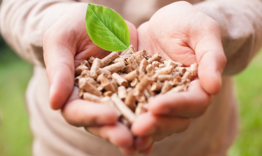 Biomass Fuel Market to Grow Due to Advanced Combustion Tech