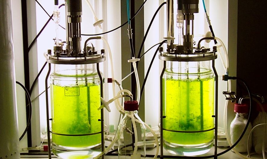 Bioreactors: Revolutionary Technology Boosts Microbial Growth A Game-Changer in Biotechnology