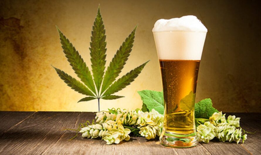 Cannabis Beverage Market Is Estimated To Witness High Growth Owing To Rising Health Benefits