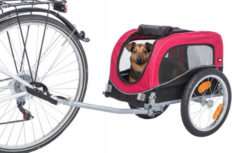 Dog Bicycle Trailer: How To Choose The Best Dog Bicycle For Your Furry Friend