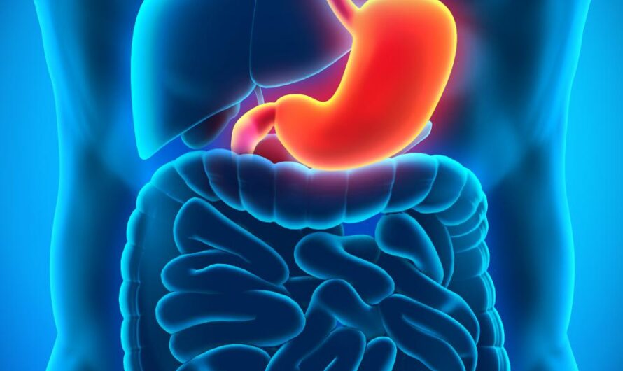 Global Gastric Motility Disorder Drug Market is Estimated to Witness High Growth Owing to Advances in Selective Gastroprokinetic Drug Development