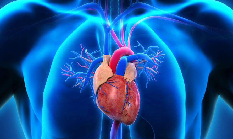 Heart Research Revolution: Enhancing Cardiomyocyte Maturity