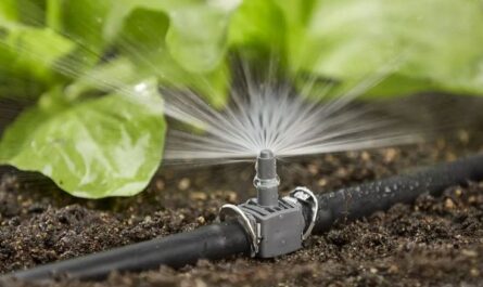 MENA Drip Irrigation System