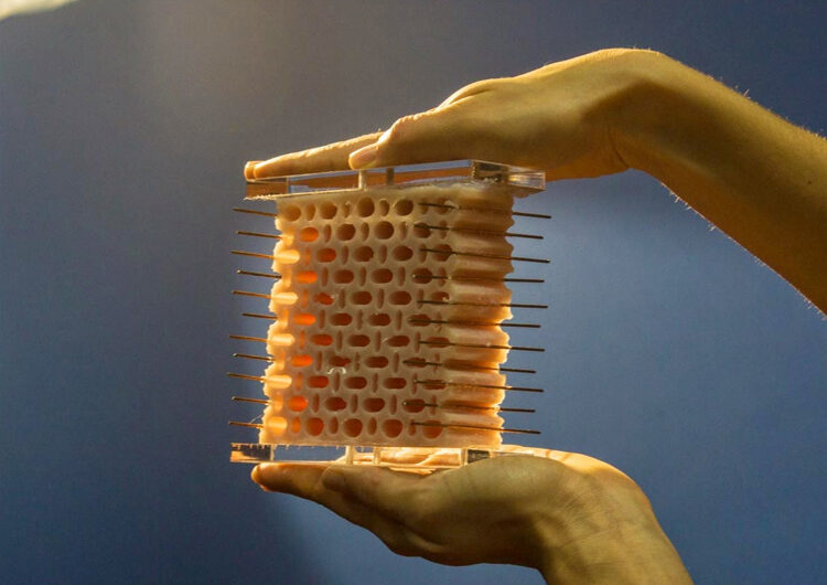 Metamaterials: Pioneering Advancements in Material Science A New Era of Discoveries