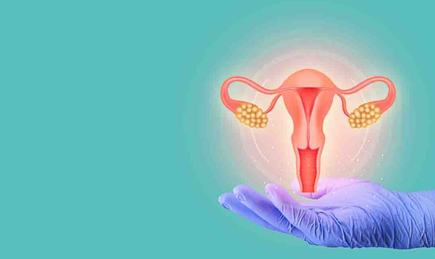 Uterine Fibroids Treatment Drugs Market Poised to Grow at a Robust Pace Owing to Rising Prevalence of Uterine Fibroids