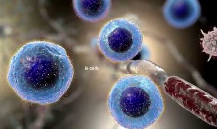 Role of Cellular Clones