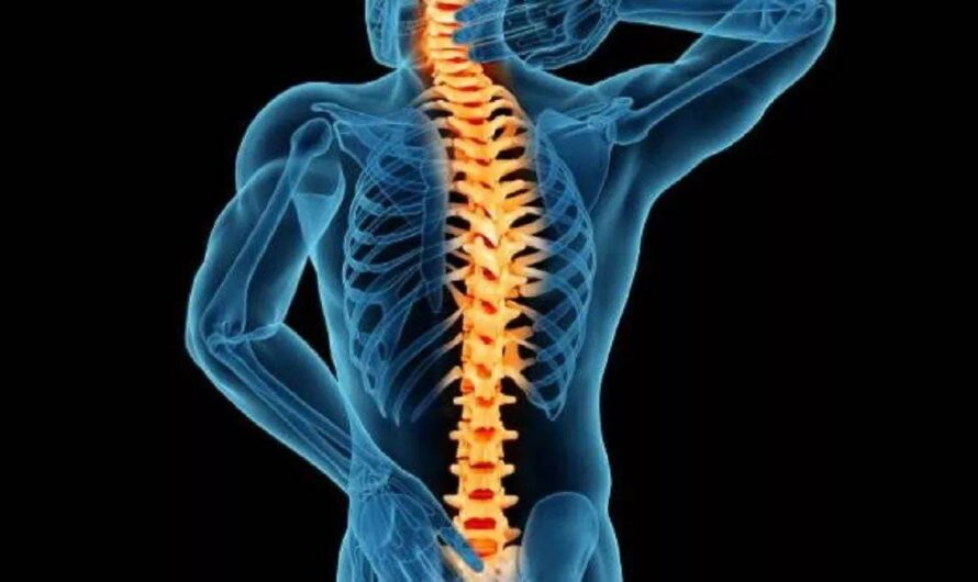 Global Advancements in Spinal Imaging: Evolution of Imaging Technology