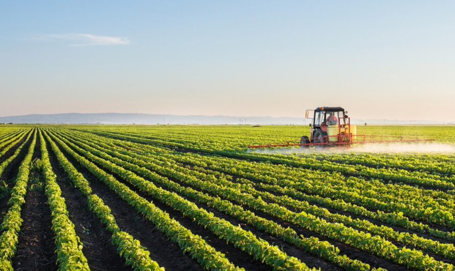 Advanced Farming: How Modern Technologies Are Transforming The Agriculture