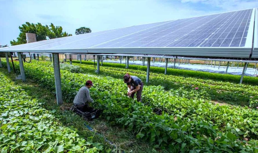 Agrivoltaics Market Is Estimated To Witness Growth Owing To Increasing Demand For Dual Land Utilization