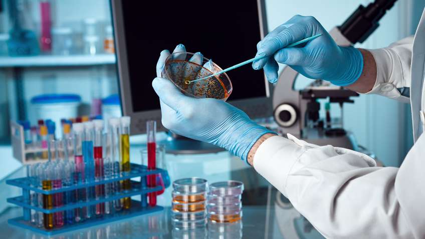 Genetic Toxicology Testing Market Poised To Witness High Growth Due To Increasing Adoption Of Genetic Toxicology Testing In Drug Development