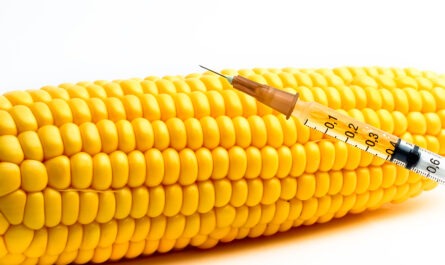 Genetically Modified Crops Market