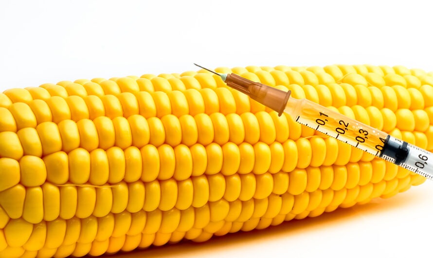 Genetically Modified Crops: Understanding the Science Behind Food Biotechnology In Industry